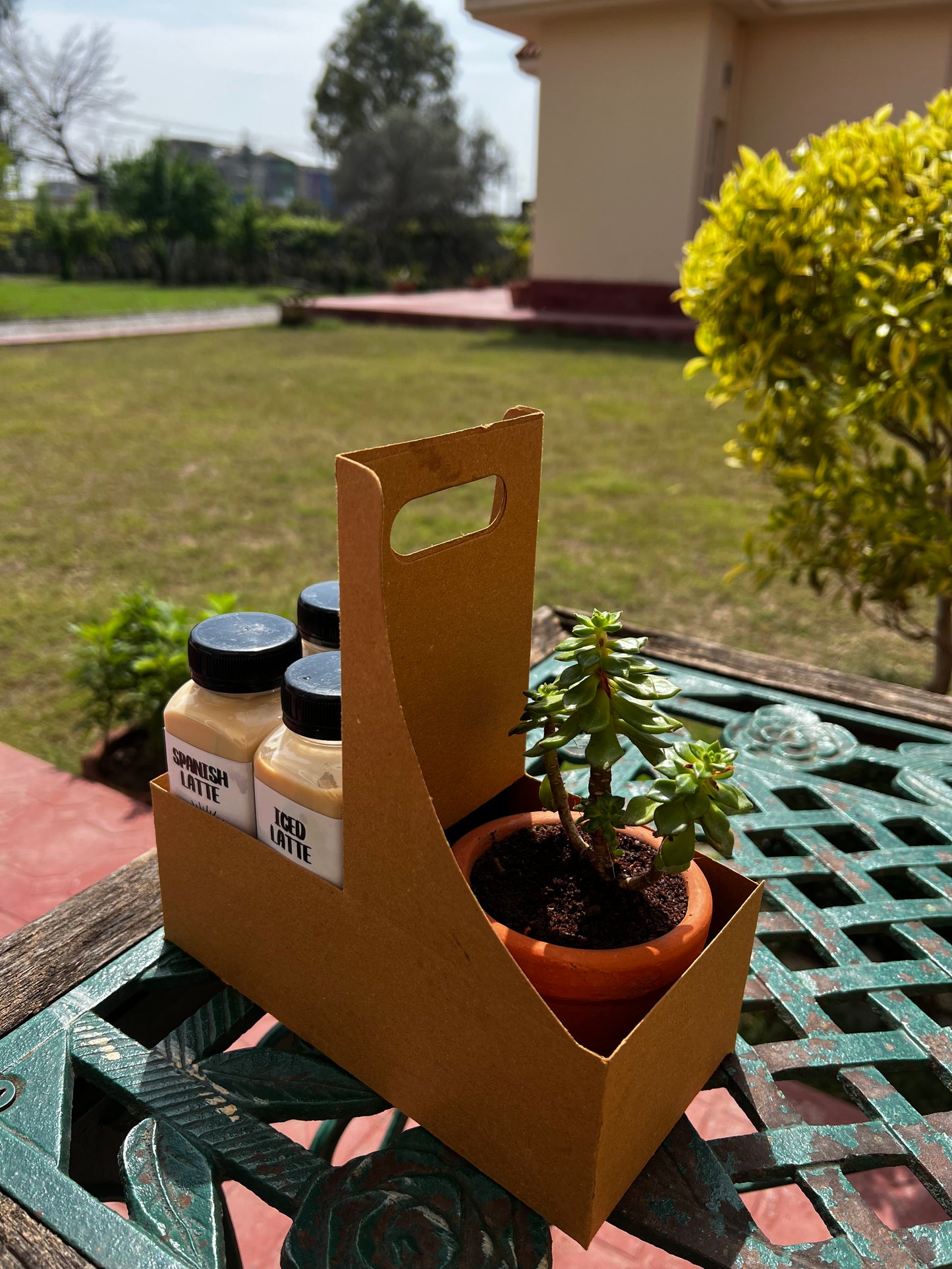 4Pack + Plant (small)