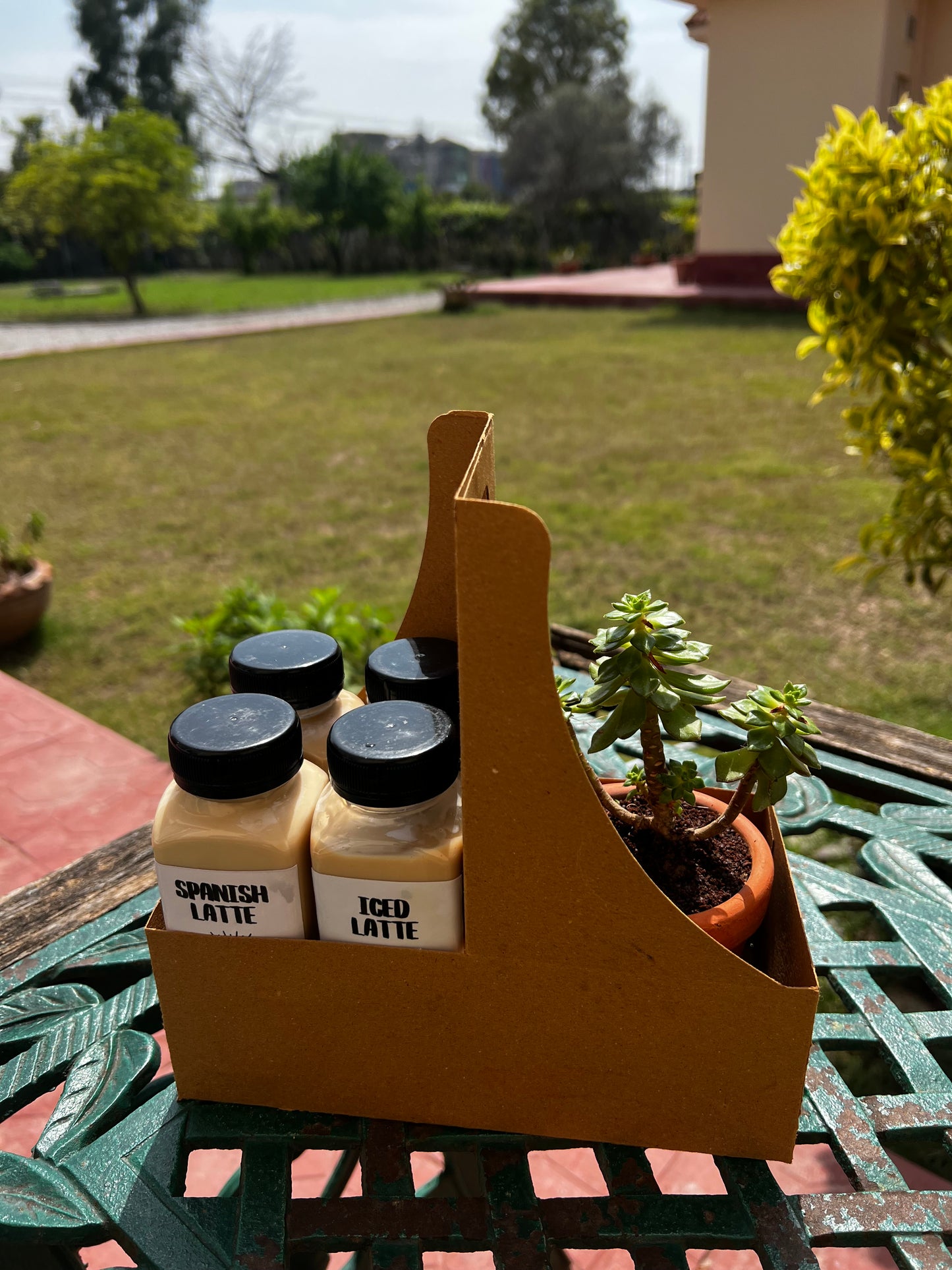 4Pack + Plant (small)